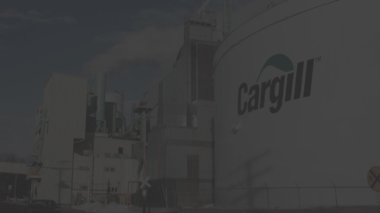 Cómo Cargill rediseñó su estrategia de aprendizaje desde cero